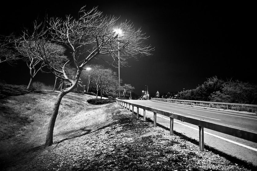 Thumbnail for B&W13 - The way (night)