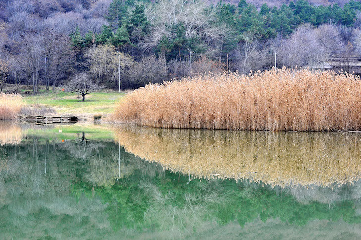 Thumbnail for LAN1 - The perfect reflection