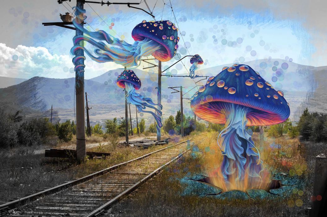 Thumbnail for MM.GOGONA1 - Mystical Wonderland