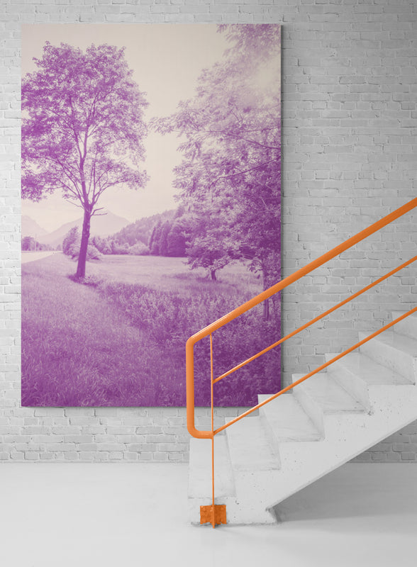 Thumbnail for MON1 - Purple Haze