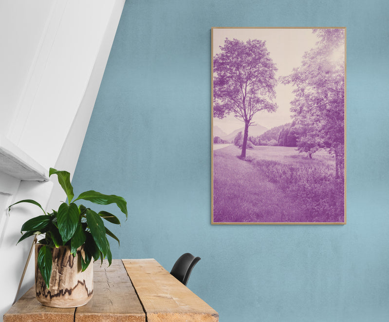 Thumbnail for MON1 - Purple Haze