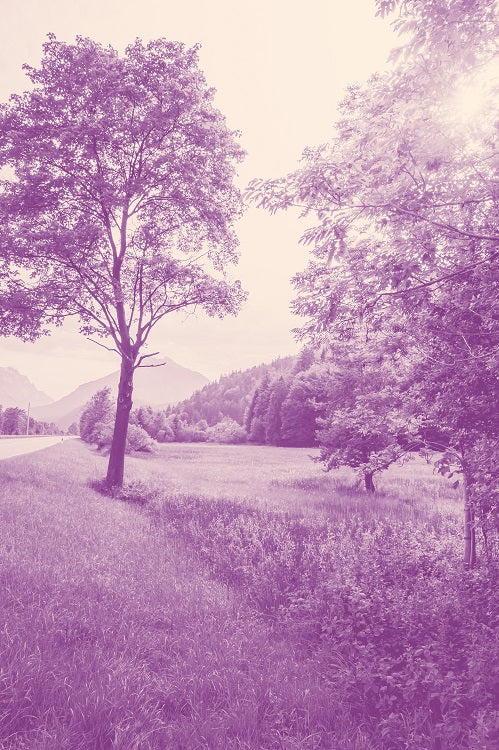 Thumbnail for MON1 - Purple Haze