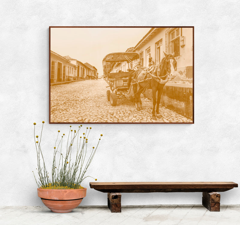 Thumbnail for MON4 - Brown Uber