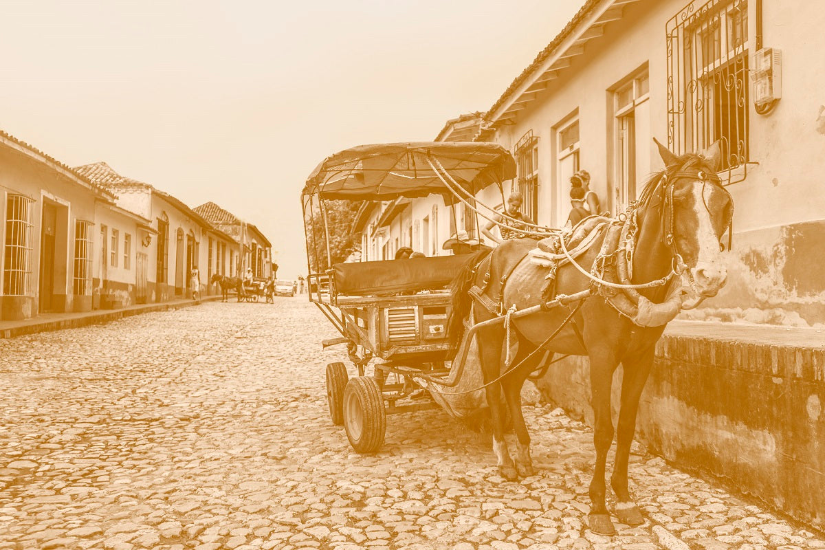 Thumbnail for MON4 - Brown Uber