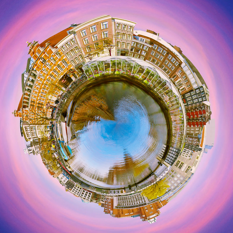 Thumbnail for PLT35B - Amsterdam eyes, unique purple