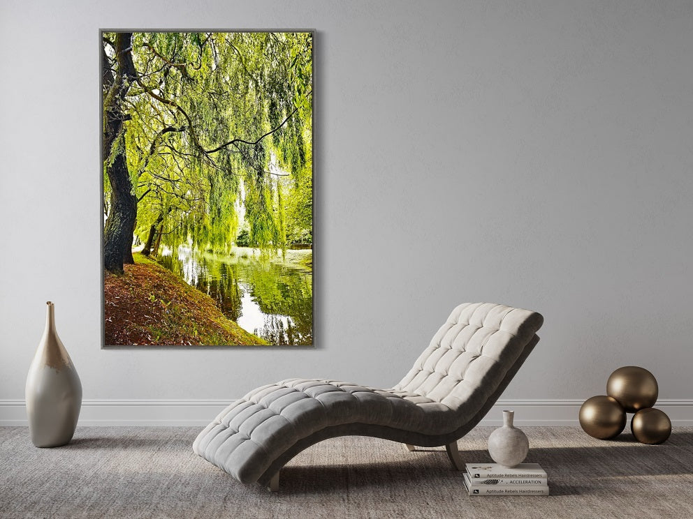 Thumbnail for AMB55 - Relaxing weeping willow