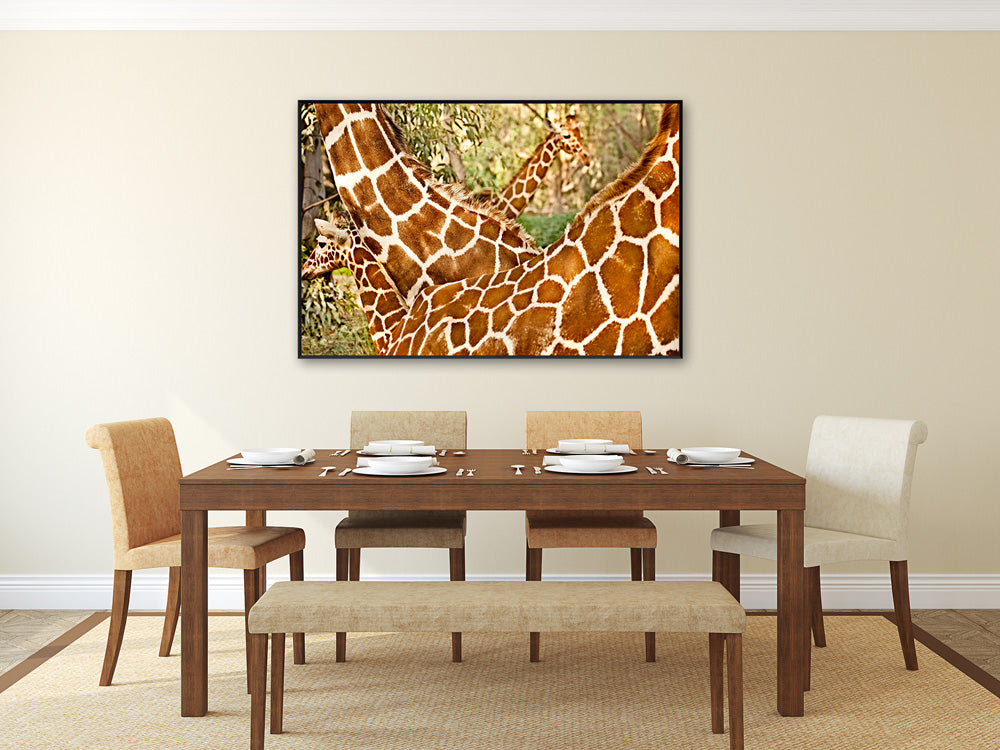 Thumbnail for AMB61 -  3.5 Giraffes