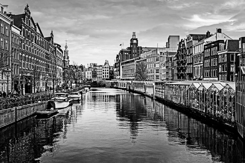 Thumbnail for B&W1 -  Vibrant Amsterdam