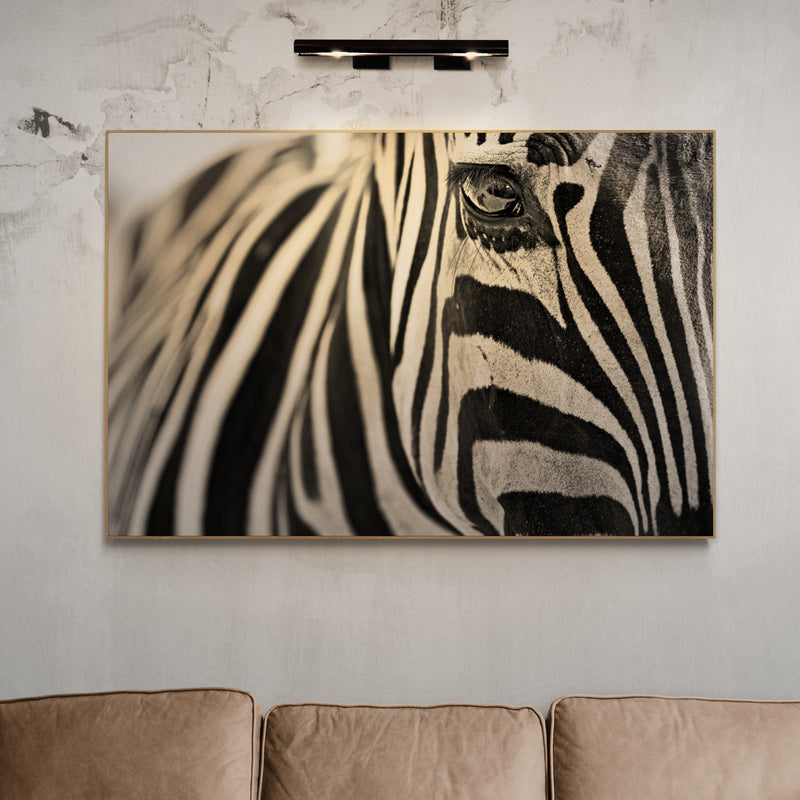 Thumbnail for B&W10 - Zebra Lines