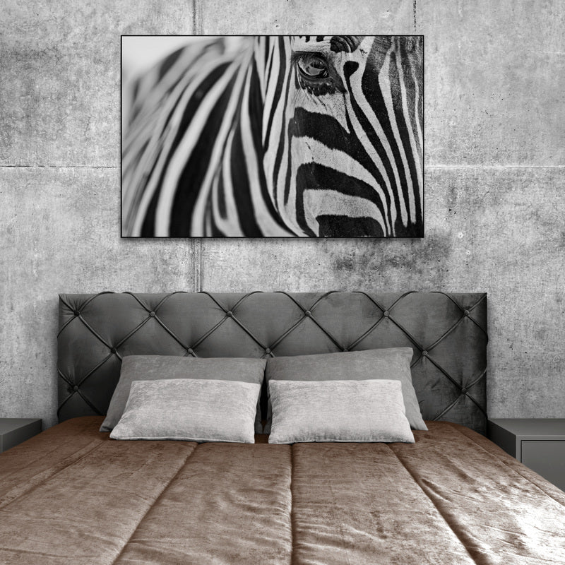 Thumbnail for B&W10 - Zebra Lines