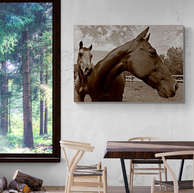 Thumbnail for B&W124 - Wild Loving Horses / monochrome