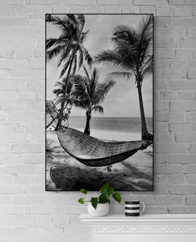 Thumbnail for B&W48 - Tropical Daydreaming