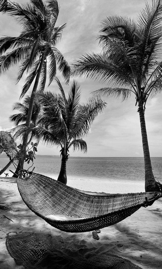 Thumbnail for B&W48 - Tropical Daydreaming