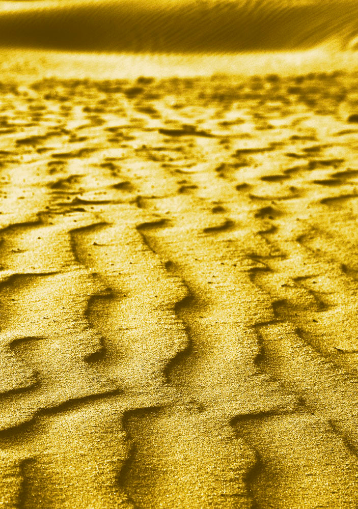 Thumbnail for GOLD8 - Golden Dunes