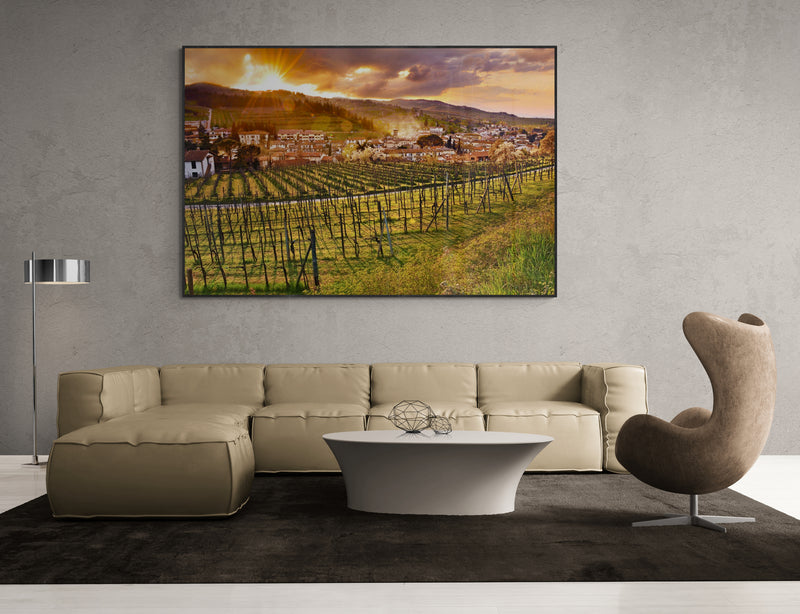 Thumbnail for LAN30 - Sunny Tuscan vineyards