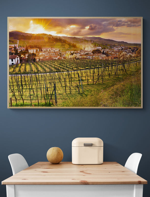 Thumbnail for LAN30 - Sunny Tuscan vineyards