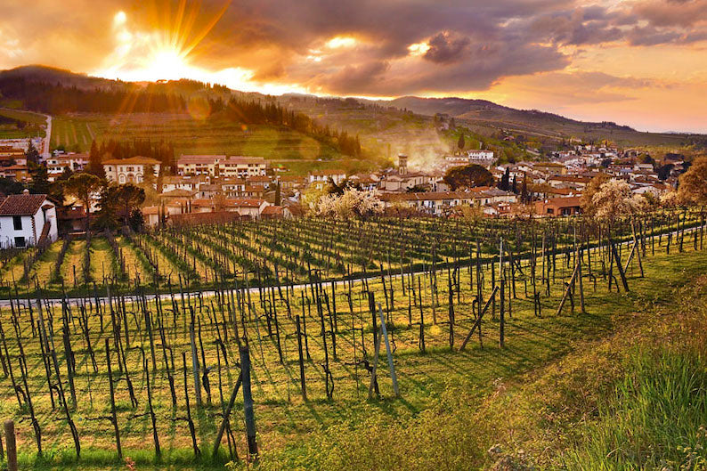 Thumbnail for LAN30 - Sunny Tuscan vineyards