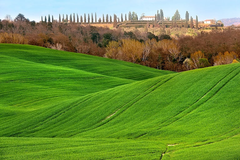 Thumbnail for LAN4 - Sliding in Tuscan fields