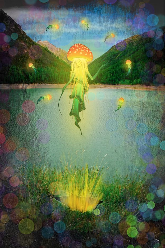 Thumbnail for MM.GOGONA13 - Lake Whispers: Mushroom-Jellyfish