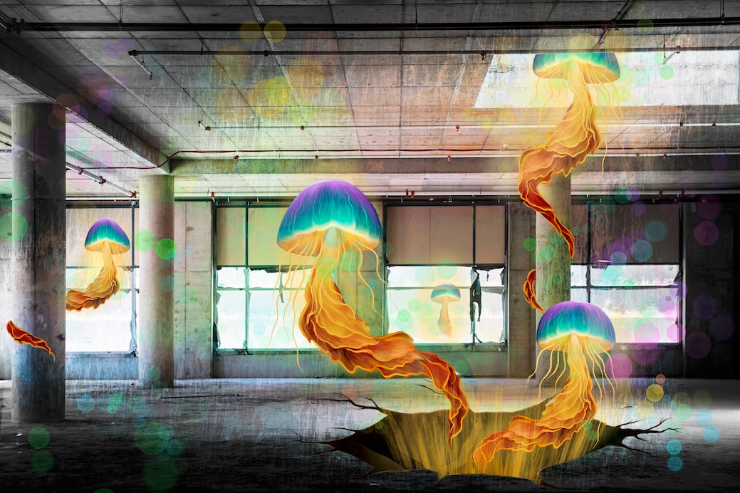 Thumbnail for MM.GOGONA4 - Jellyfish in Abandoned Building