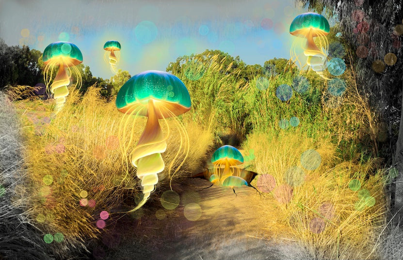 Thumbnail for MM.GOGONA5 - Enchanting Wilderness: Jellyfish in Nature