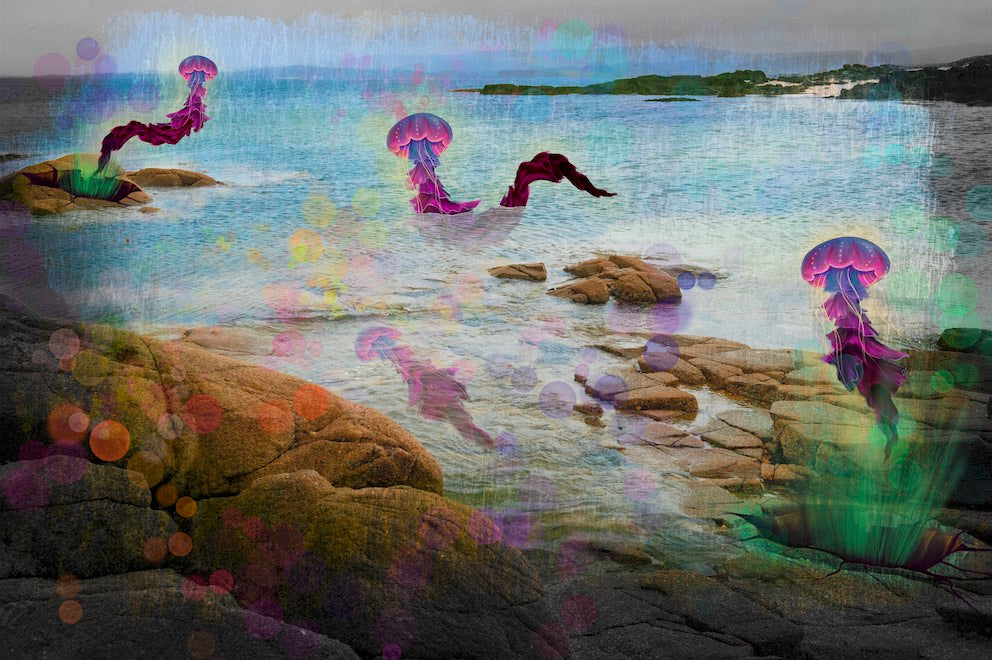 Thumbnail for MM.GOGONA6 - Ocean Symphony: Colorful Jellyfish