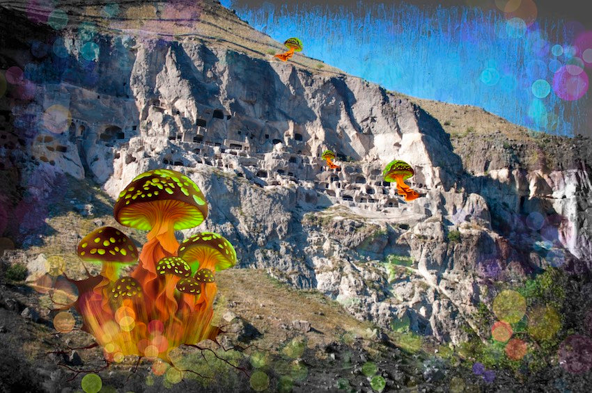 Thumbnail for MM.GOGONA7 - Whimsical Wonders: Mushrooms around Caves