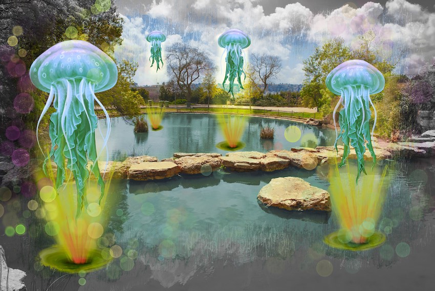 Thumbnail for MM.GOGONA8 - Serene Reflections: Jellyfish in the Lake