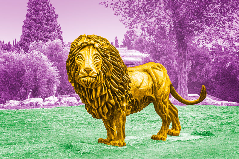 Thumbnail for POP14 - Lion Garden